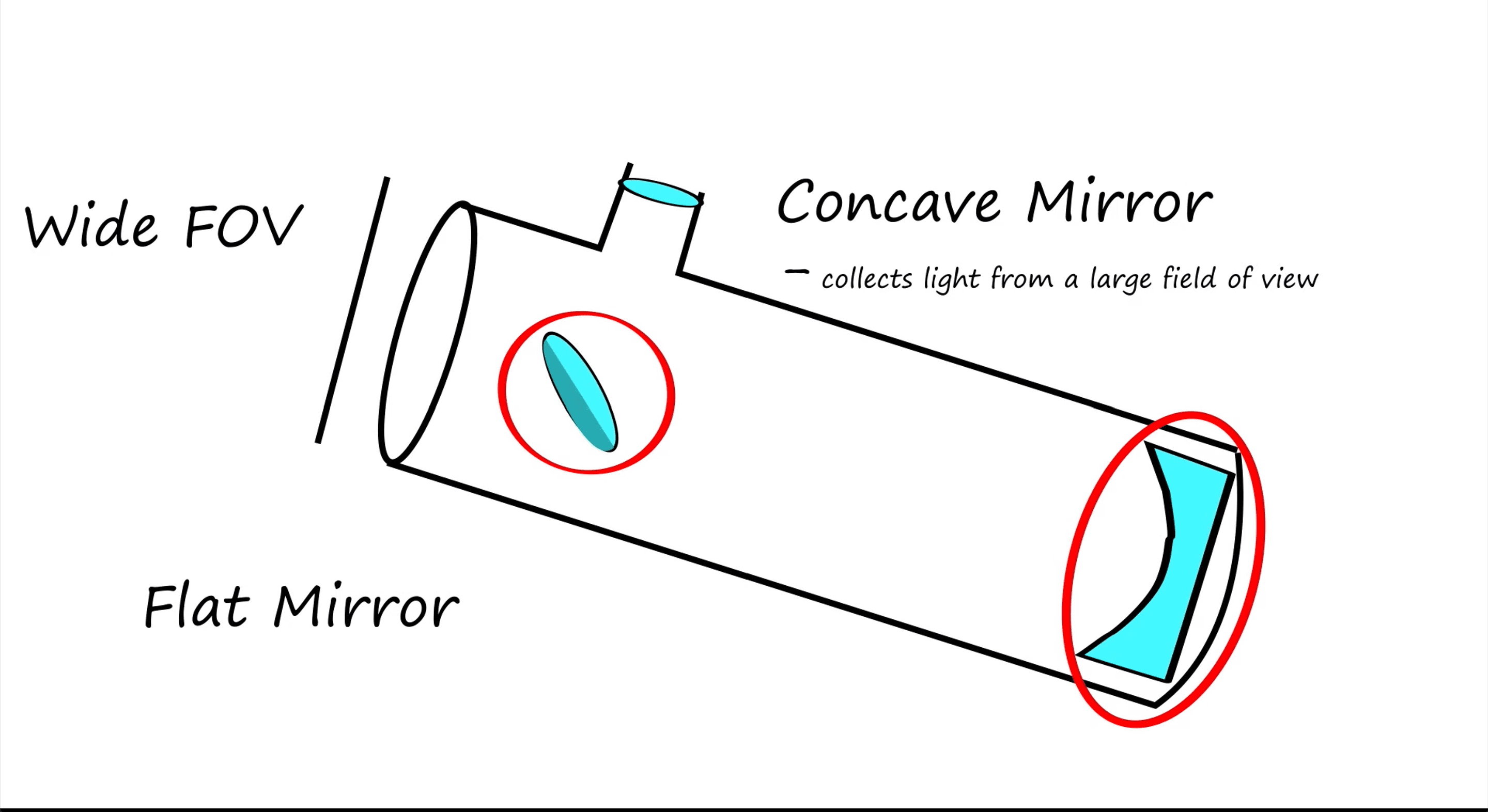 Animated Educational Video